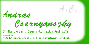 andras csernyanszky business card